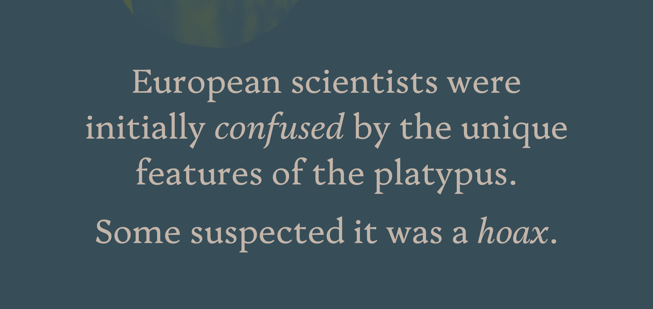 European scientists were initially confused by the unique features of the platypus. Some suspected it was a hoax.